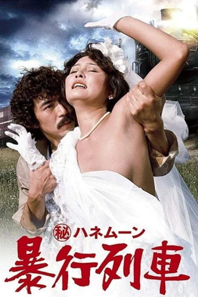 Chuyến Tàu Tuần Trăng Mật - Secret Honeymoon: Assault Train (1977)