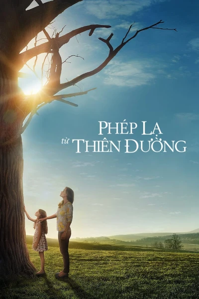 Phép Lạ Từ Thiên Đường