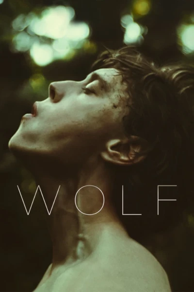 Sói trong lốt người - Wolf (2021)